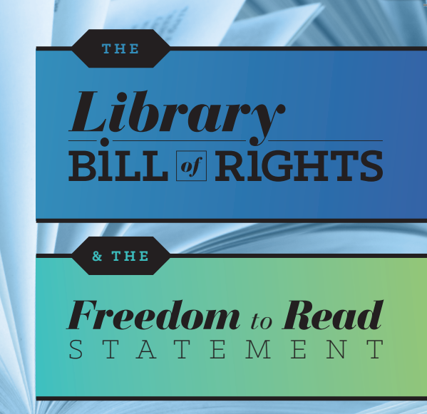 Bill of RIghts